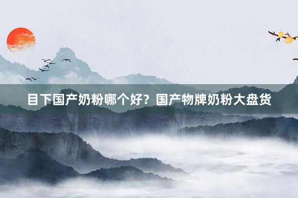目下国产奶粉哪个好？国产物牌奶粉大盘货