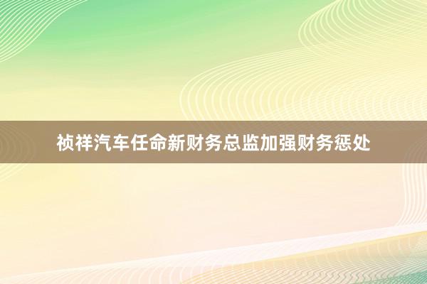 祯祥汽车任命新财务总监加强财务惩处