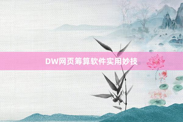 DW网页筹算软件实用妙技