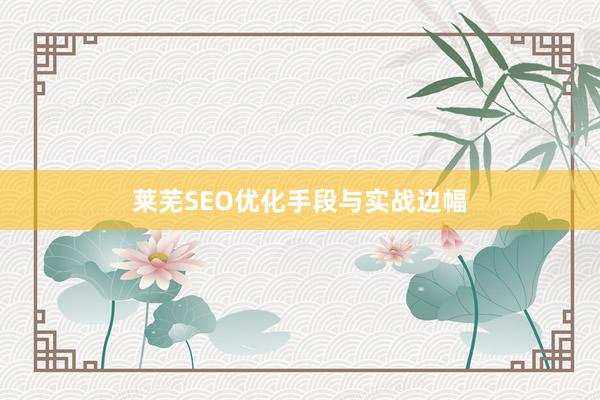 莱芜SEO优化手段与实战边幅